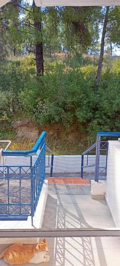 Siviri Sea & Forest-Cozy Apartment With Garden & Nature Views Bagian luar foto